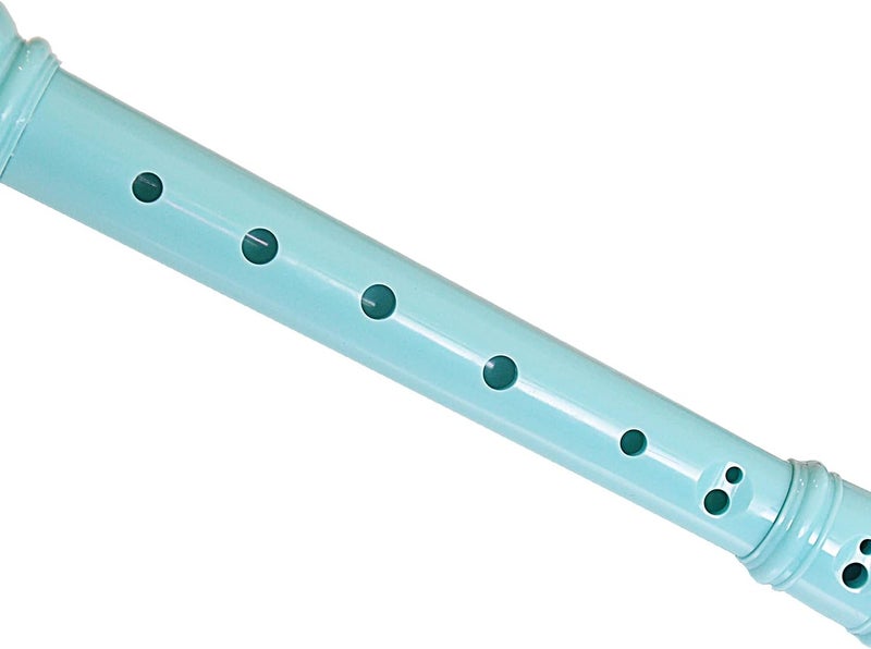 Farcaya 2-Piece Soprano Recorder Instrument for Beginners German Style C Key 8 Hole Descant with Clean Rods 2 Storage Cases (Pink+Light Blue) - Image 4